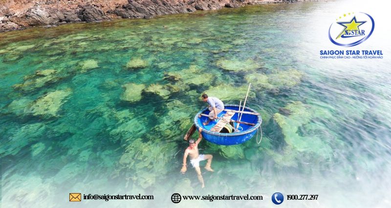 Trải nghiệm ngắm san hô