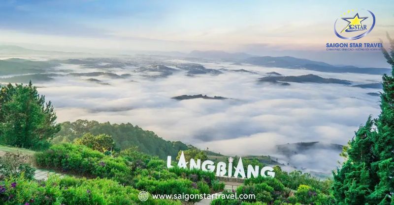 Trekking Langbiang Đà Lạt 2026: rừng thông, lối mòn và khoảnh khắc săn mây (ảnh minh họa)