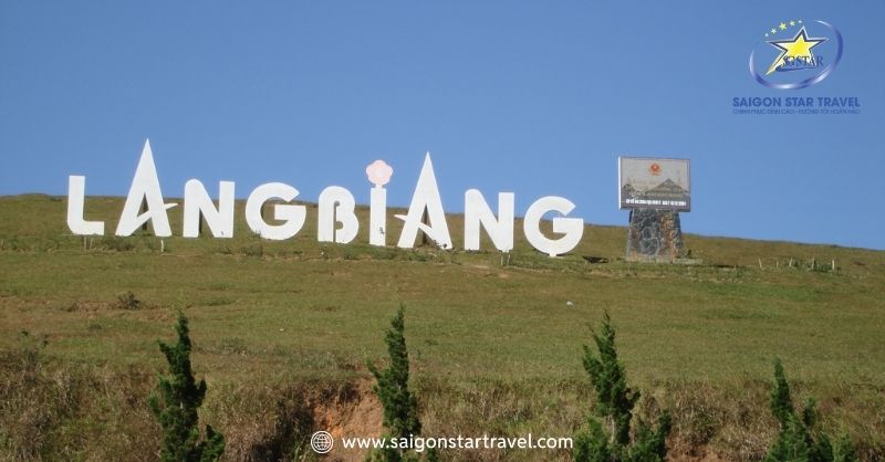 Trekking Langbiang Đà Lạt: đoạn đường rừng thông và điểm ngắm cảnh cao nguyên (ảnh minh họa)