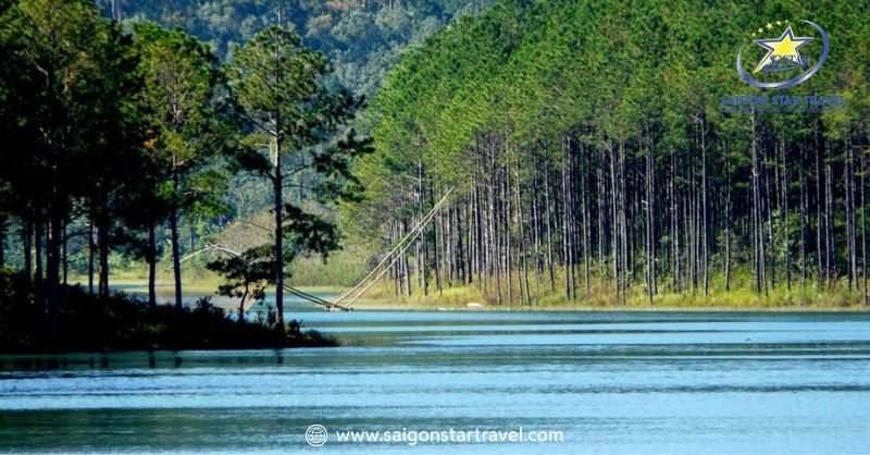 Hồ Tuyền Lâm Đà Lạt: mặt nước yên, rừng thông xanh, phù hợp chèo SUP và chụp ảnh (ảnh minh họa)