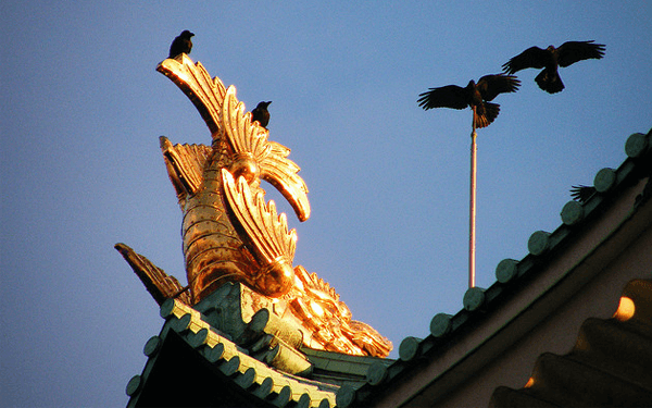 thanh-nagoya-trai-tim-cua-nagoya-nhat-ban-12