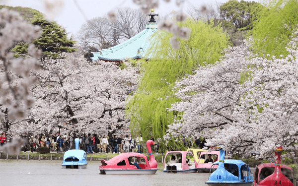 Cố Đô Kyoto- Trái Tim Của Kyoto, Nhật Bản | Saigon Star Travel co-do-kyoto-trai-tim-cua-dao-honshu-7