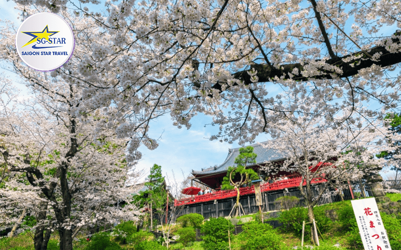 Tour Nhật Bản Cao Cấp 5 Ngày 4 Đêm - Tokyo - Hakone - Kyoto - Osaka | Saigon Star Travel tour-nhat-ban-cao-cap-5-ngay-4-dem-tokyo-hakone-kyoto-osaka-12