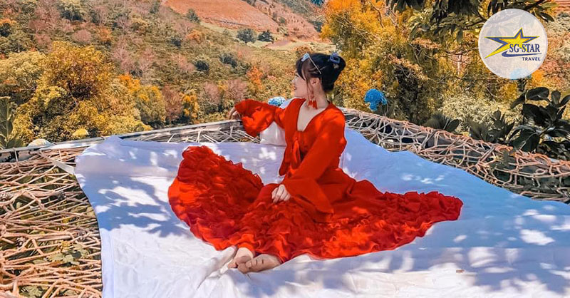 Vé Dalaland | Saigon Star Travel Check-in tiểu cảnh đẹp tại Dalaland