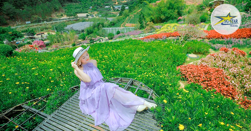 Vé Quê Garden | Saigon Star Travel Quê Garden ra mắt thu hút đông đảo khách tham quan vì là địa điểm check-in "không gốc chết"