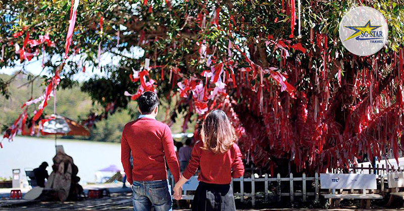 Vé Thung Lũng Tình Yêu Mộng Mơ | Saigon Star Travel Cây nguyện ước tại KDL