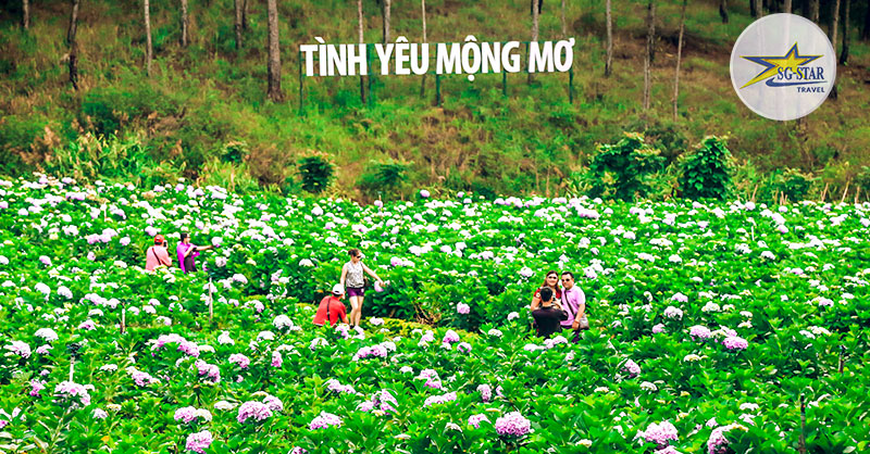 Vé Thung Lũng Tình Yêu Mộng Mơ | Saigon Star Travel KDL luôn có những tiểu cảnh thay đổi để phục vụ nhu cầu của quý khách