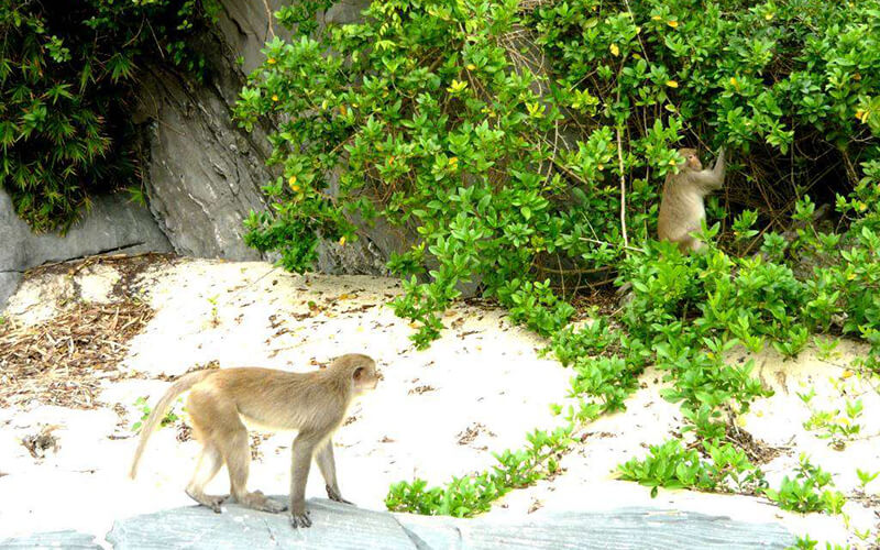 Vịnh Nha Phu điểm đến lý thú của Nha Trang | Saigon Star Travel vinh-nha-phu-4