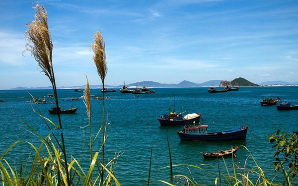 Vịnh Vũng Rô Phú Yên đẹp hút hồn du khách thập phương | Saigon Star Travel vinh-vung-ro-phu-yen-dep-hut-hon-du-khach-thap-phuong-2