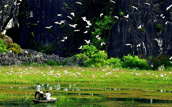Đi tour Ninh Bình có gì thú vị không? | Saigon Star Travel di-tour-ninh-binh-co-gi-thu-vi-khong-6