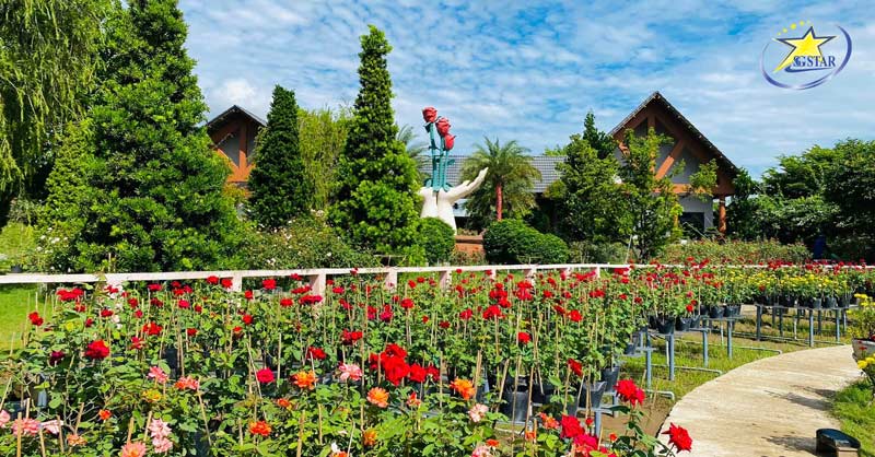 Tour Đồng Tháp 1 Ngày - Du Lịch Tết 2024 | Saigon Star Travel Tham quan và chụp ảnh vườn hoa Tư Tôn