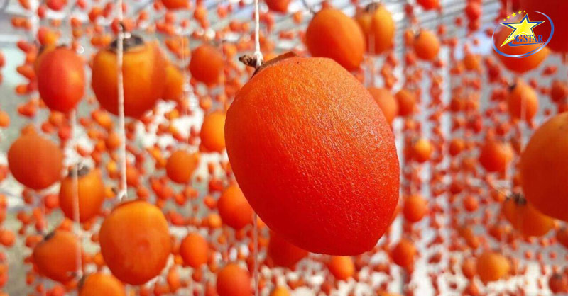 Mê Mẩn Vườn Hồng Đà Lạt - Địa điểm checkin mới lạ | Saigon Star Travel Vườn hồng Đà Lạt