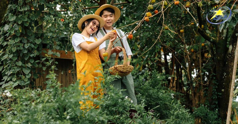 Vườn hồng Nhà Tom Đà Lạt