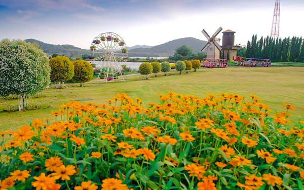 Vườn nho Silver Lake - Khám phá trời Âu trên đất nước Thái Lan | Saigon Star Travel Sáng sớm và hoàng hôn là 2 thời điểm đẹp nhất để tham quan vườn nho