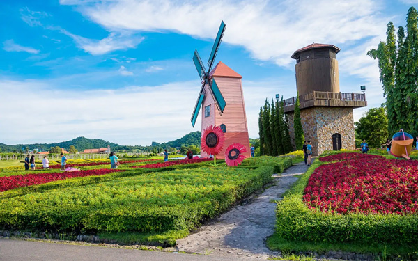 Vườn nho Silver Lake - Khám phá trời Âu trên đất nước Thái Lan | Saigon Star Travel “Check-in” với cối xay gió tại Silver Lake