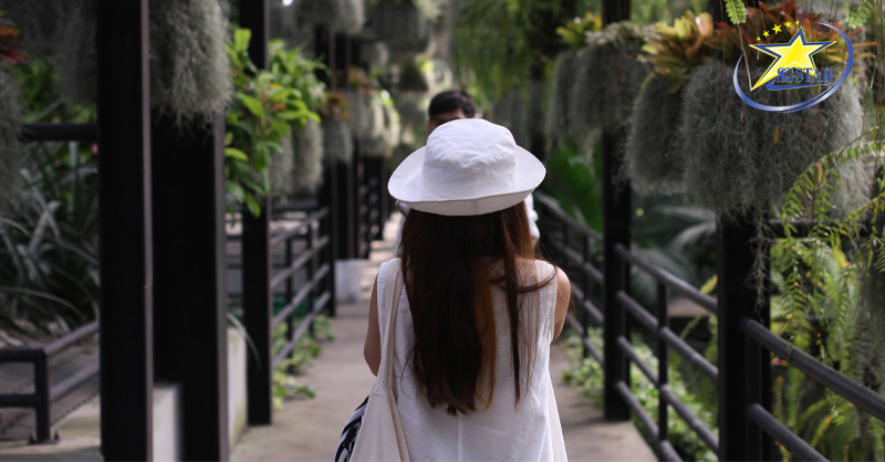 Trân Bảo Phật Sơn - Tượng Phật Lớn Dát Vàng Đẹp Như Tranh Vẽ Tại Pattaya | Saigon Star Travel vuon nho silverlake 1 1