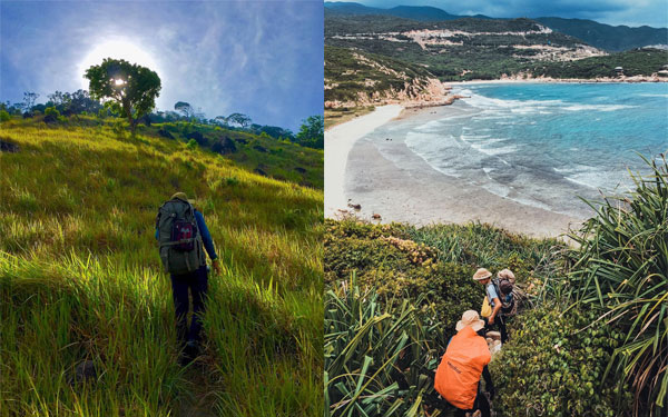 Vườn quốc gia núi chúa Ninh Thuận- Những trải nghiệm nên thử | Saigon Star Travel vuon-quoc-gia-nui-chua-ninh-thuan-nhung-trai-nghiem-nen-thu-3