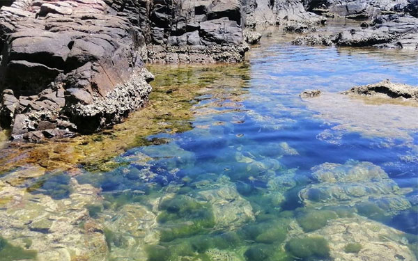 Vườn quốc gia núi chúa Ninh Thuận- Những trải nghiệm nên thử | Saigon Star Travel vuon-quoc-gia-nui-chua-ninh-thuan-nhung-trai-nghiem-nen-thu-4