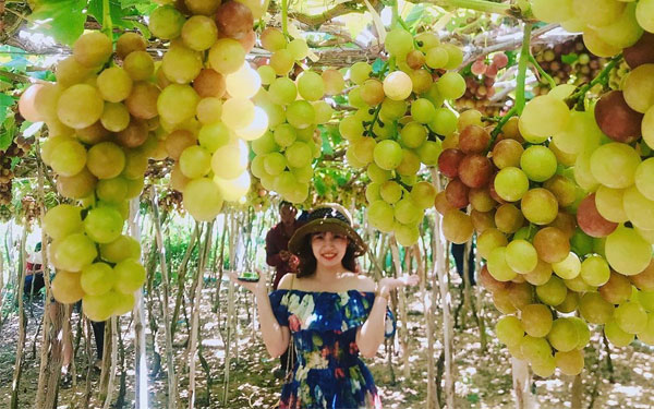 Vườn quốc gia núi chúa Ninh Thuận- Những trải nghiệm nên thử | Saigon Star Travel vuon-quoc-gia-nui-chua-ninh-thuan-nhung-trai-nghiem-nen-thu-5