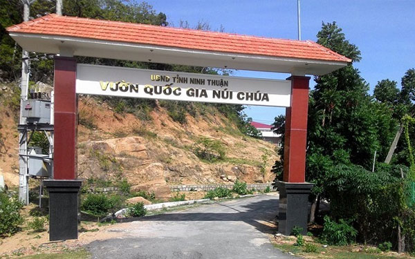 Vườn quốc gia núi chúa Ninh Thuận- Những trải nghiệm nên thử | Saigon Star Travel vuon-quoc-gia-nui-chua-ninh-thuan-nhung-trai-nghiem-nen-thu-7
