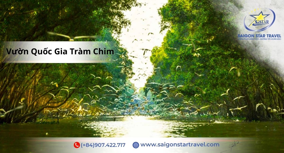 Vườn Quốc Gia Tràm Chim - Tour Miền Tây Mùa Nước Nổi 3 ngày 2 đêm