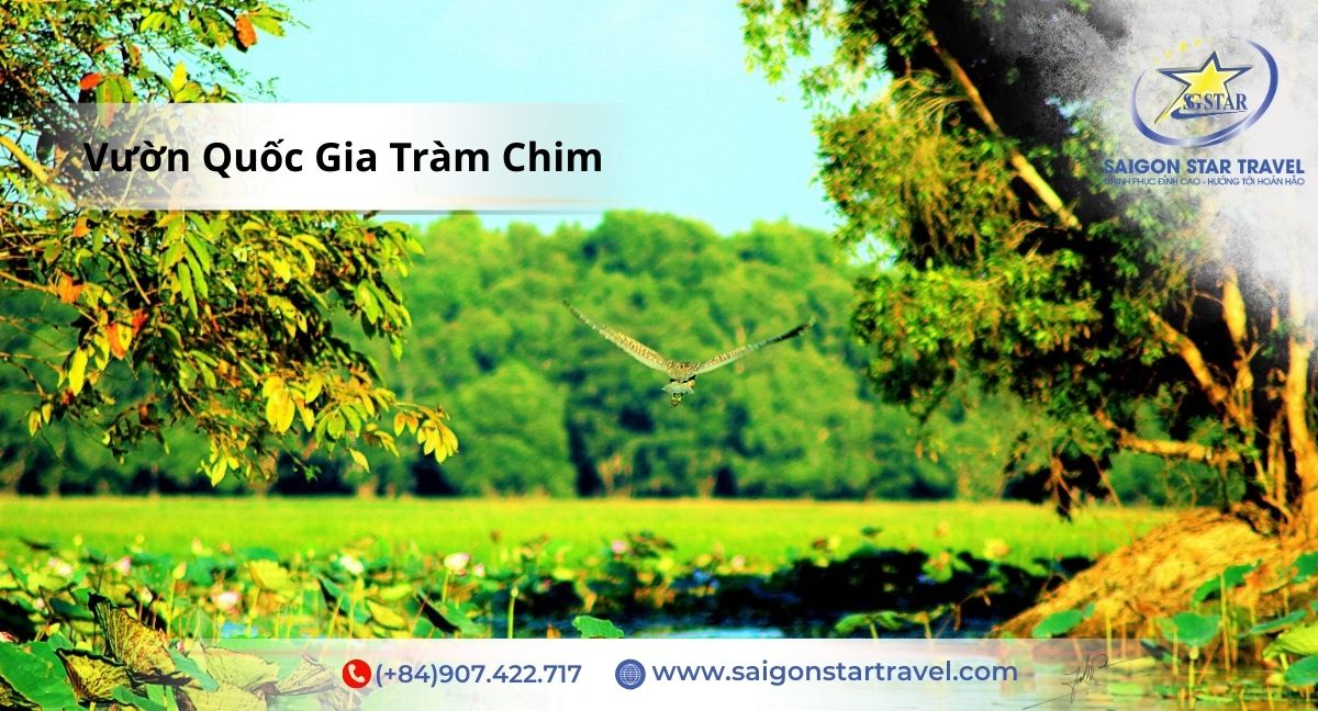 Vườn Quốc Gia Tràm Chim - Tour Miền Tây 2 ngày