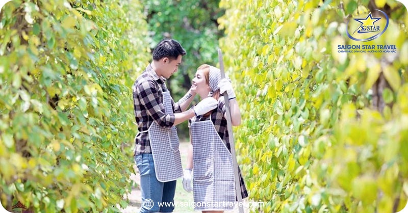 Check-in 4 vườn tiêu Phú Quốc được nhiều khách du lịch "săn đón" | Saigon Star Travel Vườn tiêu Phú Quốc