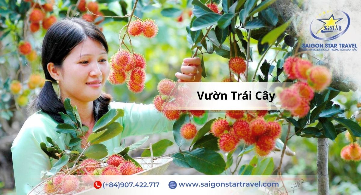 Tham quan vườn trái cây - Tour Miền Tây 1 Ngày