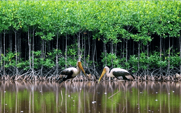 kham-pha-du-vi-trong-tour-con-dao-30-4-11