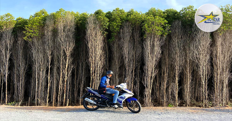 Xe máy là phương tiện được dân phượt lựa chọn nhiều nhất khi đi khám phá Cần Giờ