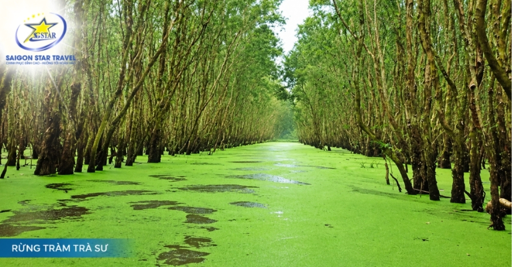 Tour Bà Lụa - Châu Đốc - Rừng Tràm Trà Sư 3 Ngày 2 Đêm