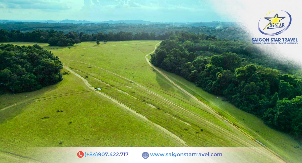 Tour Sóc Bom Bo Bù Lạch 2 Ngày 1 Đêm Từ TpHCM: Văn Hóa S'tiêng Và Trảng Cỏ Săn Ảnh