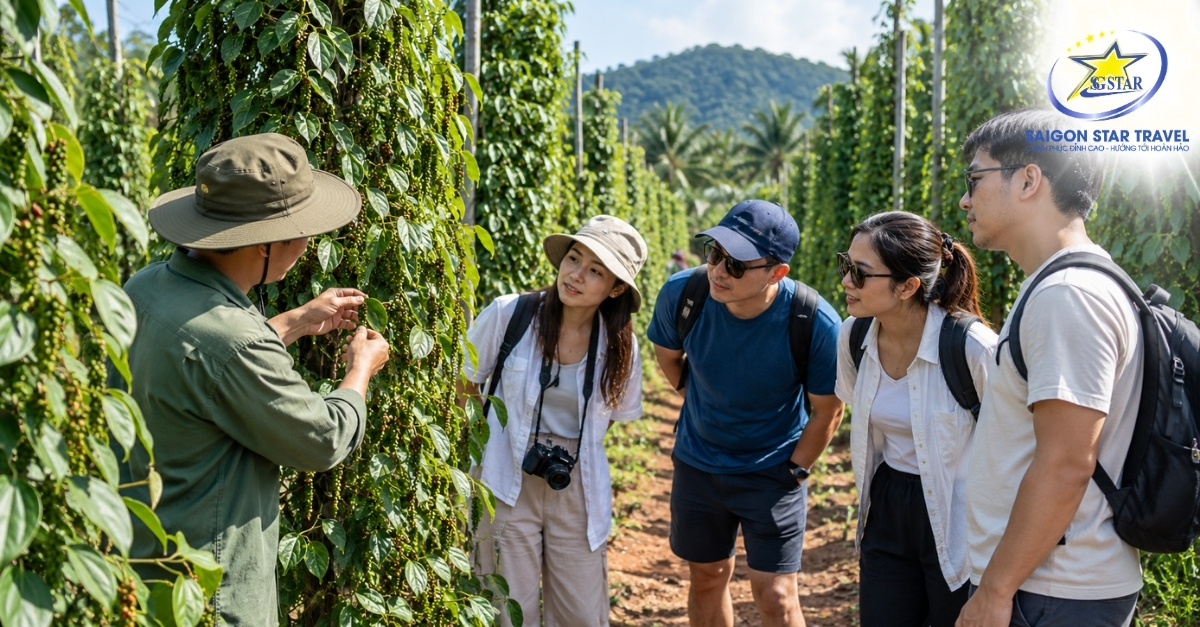 Tour Phú Quốc 4 Ngày 3 Đêm Đón Tại Đảo - Biển Nam Đảo, Grand World & Nghỉ Dưỡng