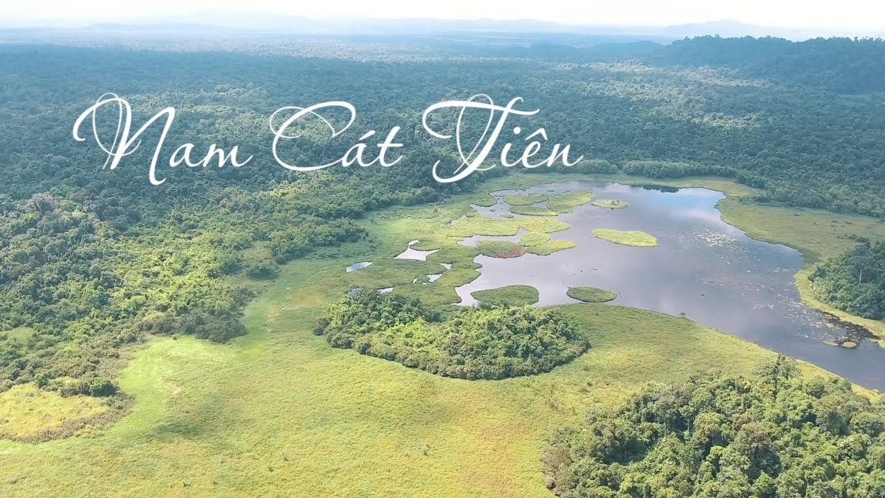 Tour Rừng Già Nam Cát Tiên 2 Ngày 1 Đêm | Treking Cây Tung Cổ Thụ - Cây Đa Lộc Giao