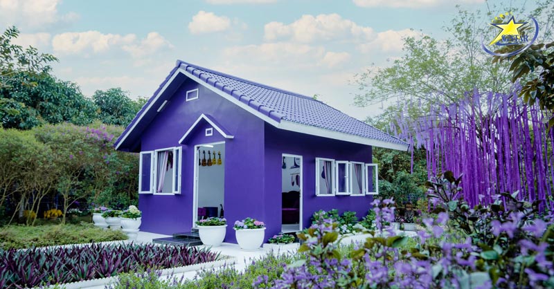 Tour Tết Miền Tây 2 Ngày 1 Đêm 2025