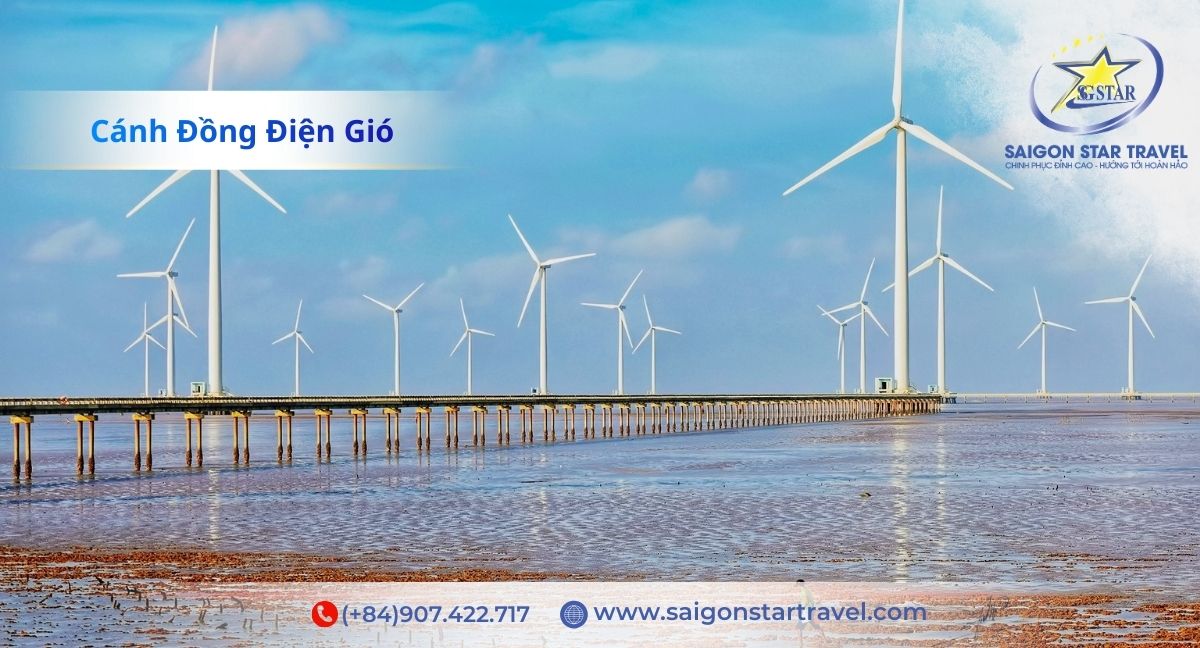 Cánh Đồng Điện Gió - Tour Miền Tây 6 ngày 5 đêm