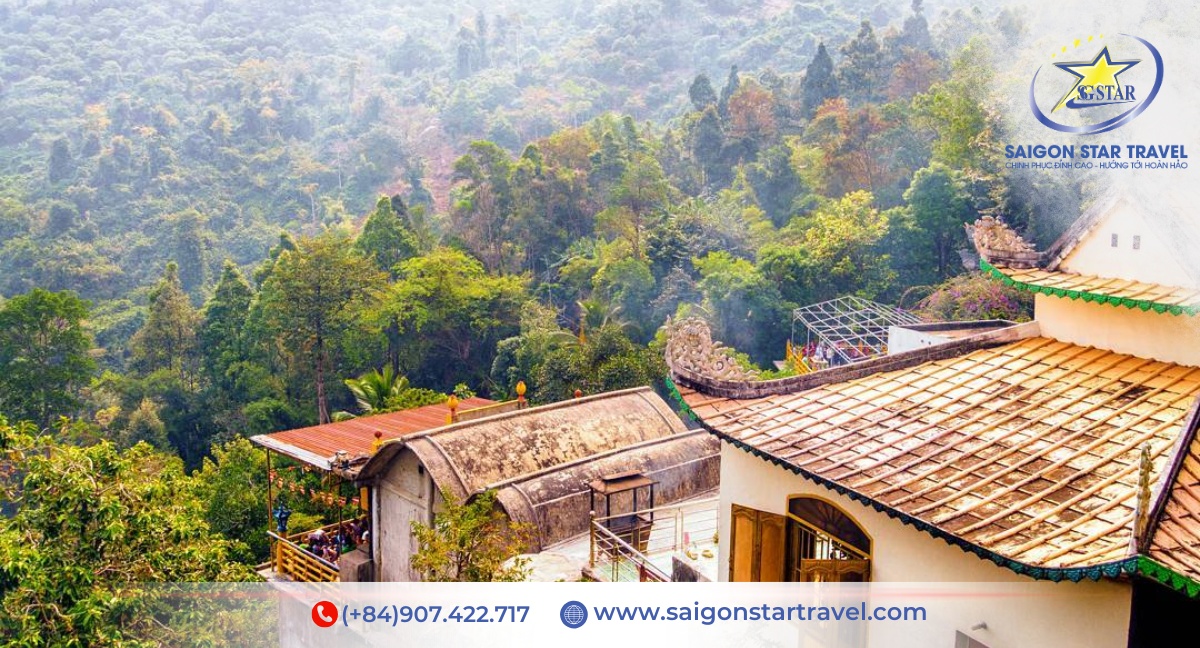 Tour Núi Chứa Chan 1 Ngày Từ TpHCM | Trekking Gia Lào, Săn Mây, Check-in Đỉnh Núi