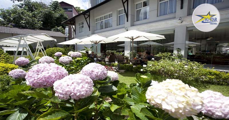 Combo Du Lịch Khách Sạn Mường Thanh Holidays Đà Lạt