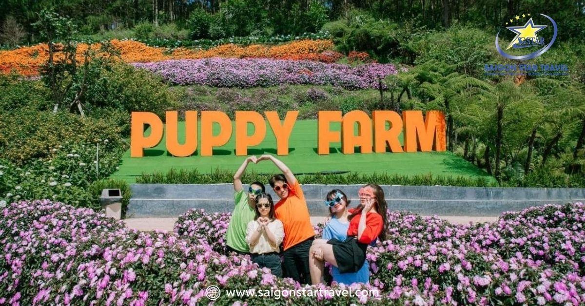 Tour Đà Lạt Mũi Né 3 Ngày 3 Đêm Tết | Từ TP.HCM