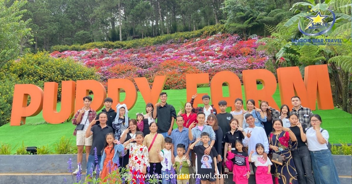 Tour Team Building Đà Lạt 3 Ngày 2 Đêm | Giá Ưu Đãi - Kết Nối & Gắn Kết Đội Nhóm