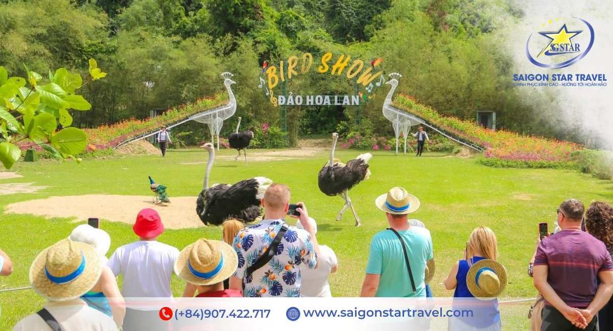 Vé Đảo Hoa Lan Nha Trang 2026 | Bảng Giá Giờ Tàu | Saigon Star Travel