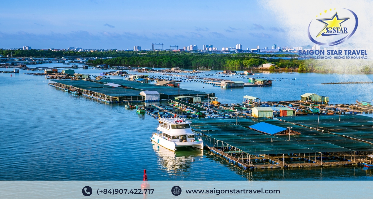 Tour Long Hải 3 Ngày 2 Đêm | Nghỉ Dưỡng Resort - Biển Xanh Cát Trắng