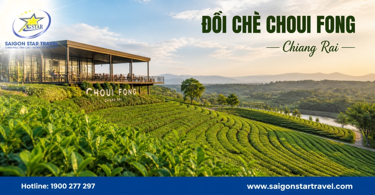Tour Chiang Mai Chiang Rai 5 Ngày 4 Đêm Từ TpHCM [2026]