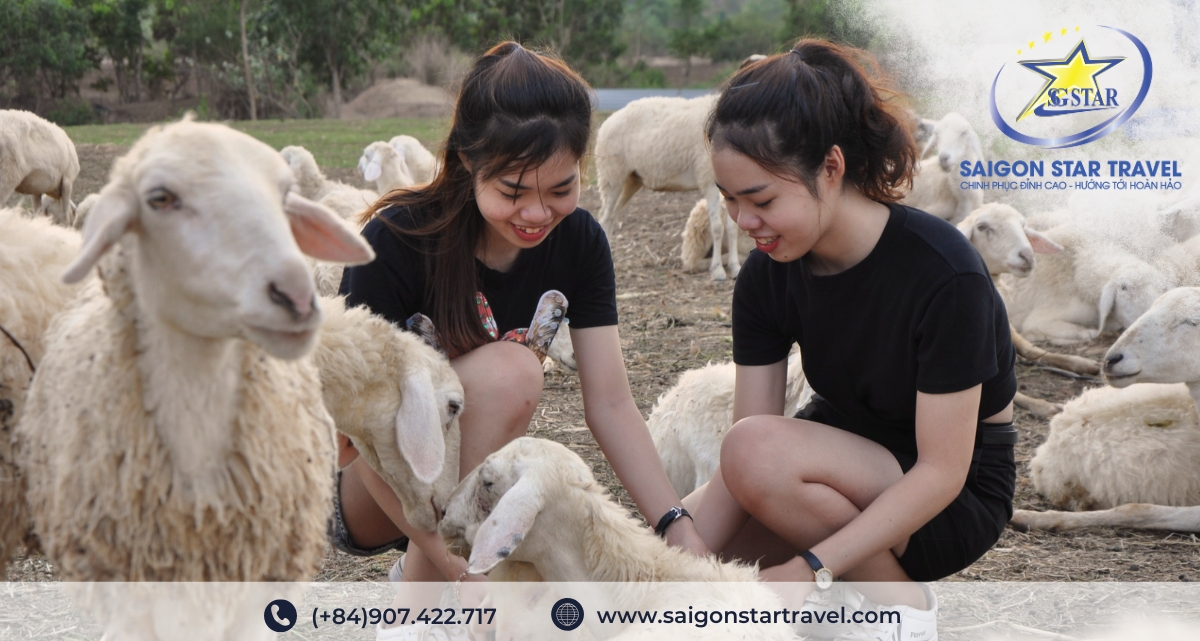 Tour Hồ Tràm 3 Ngày 2 Đêm | Resort Cao Cấp, Tắm Biển, Khoáng Nóng Và Check-in Điểm Hot