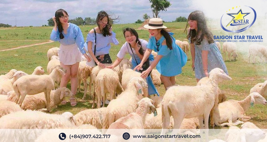 Tour Team Building Vũng Tàu 1 Ngày | Một Ngày Gắn Kết Cùng Saigon Star Travel