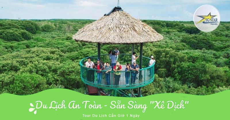 Tour Du Lịch Cần Giờ 1 Ngày - Khám Phá Đảo Khỉ - KDL Rừng Vàm Sát