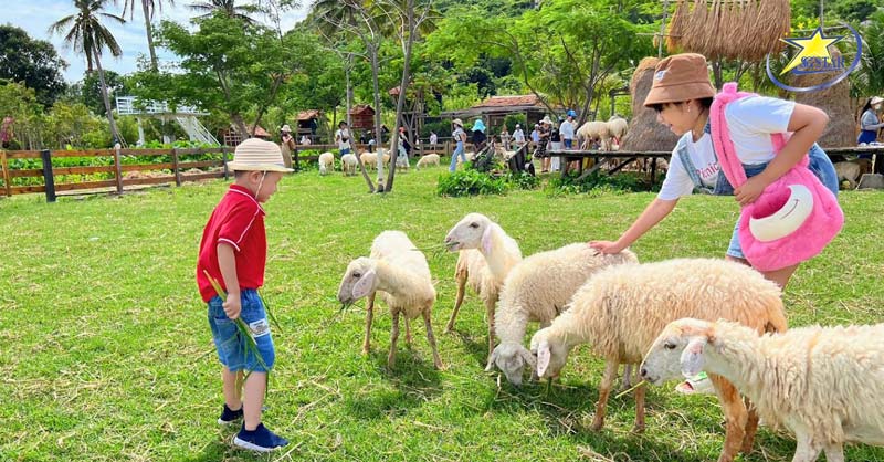 Tour Tết Bình Hưng 2 Ngày 2 Đêm 2025