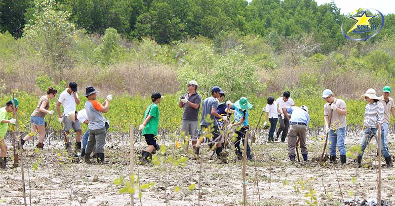 Tour Cần Giờ 1 Ngày - Tour Rừng Sác Cần Giờ - Trồng Cây