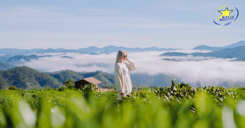 Tour Tết Đà Lạt 3 Ngày 3 Đêm