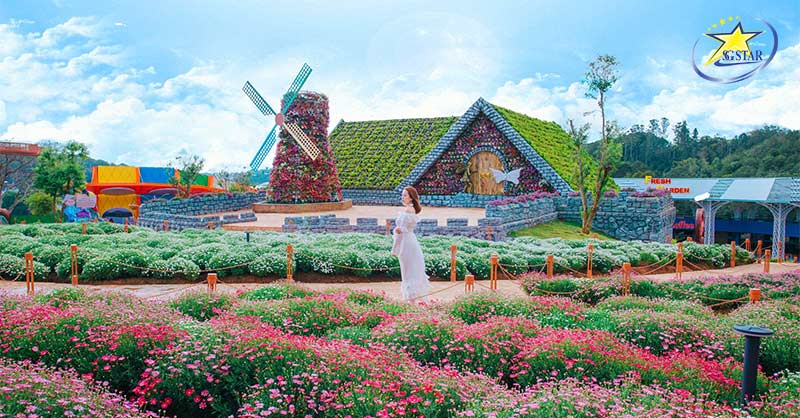 Tour Tết Đà Lạt 3 Ngày 3 Đêm